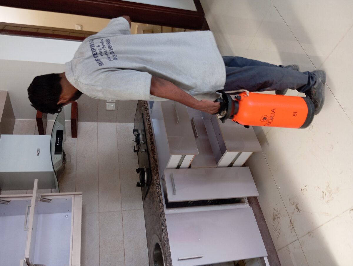 Fumigation service in a kitchen