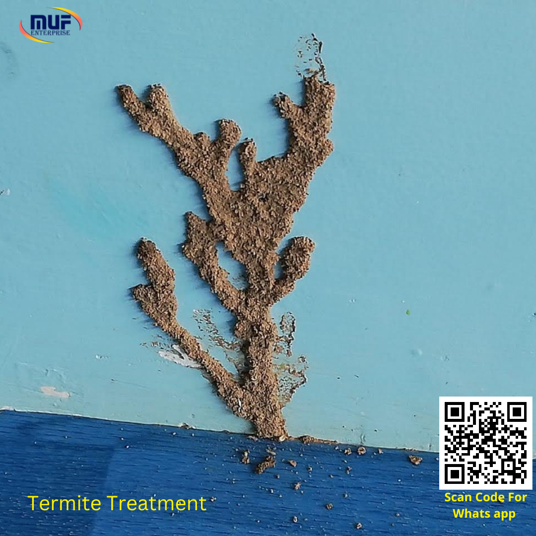 Termite Treatment