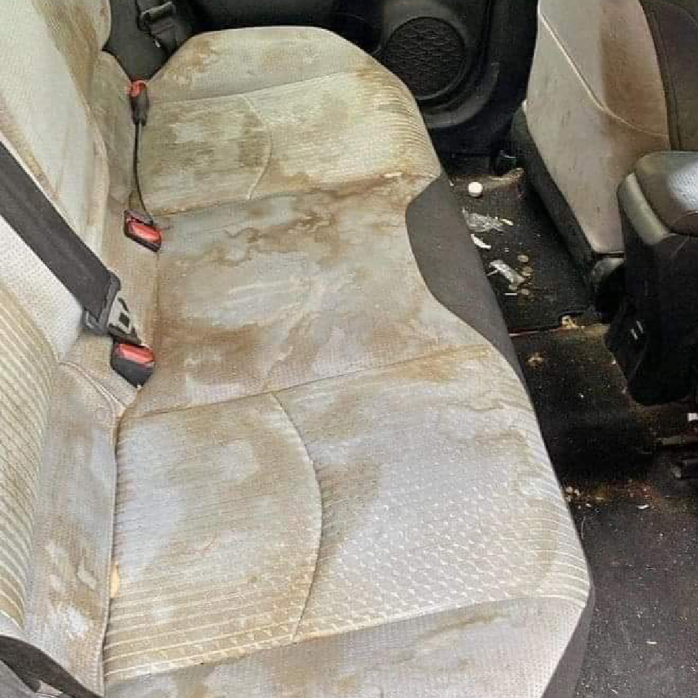 Car’s Interior Cleaning