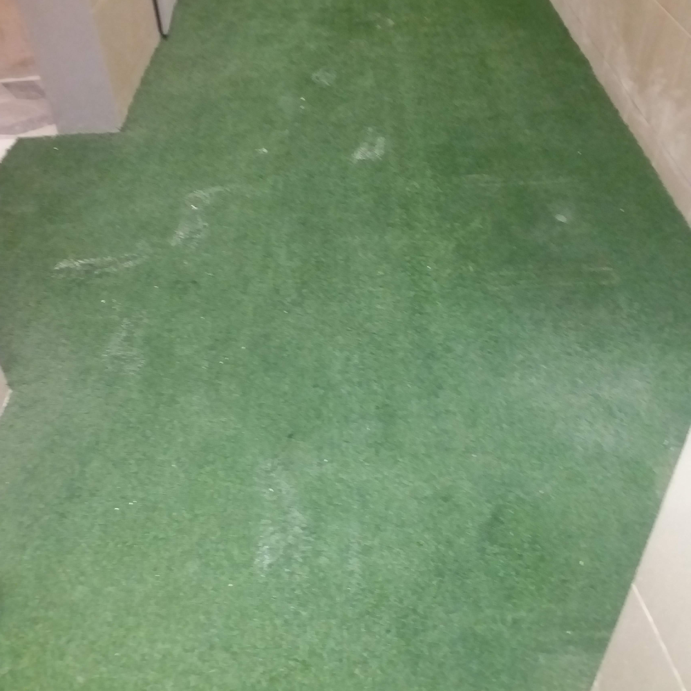 Aritifical Grass Cleaning